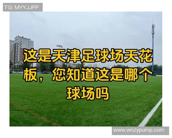 探索天津团泊足球场的魅力与发展潜力，助力足球运动的蓬勃兴起