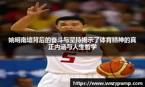bsports官网
